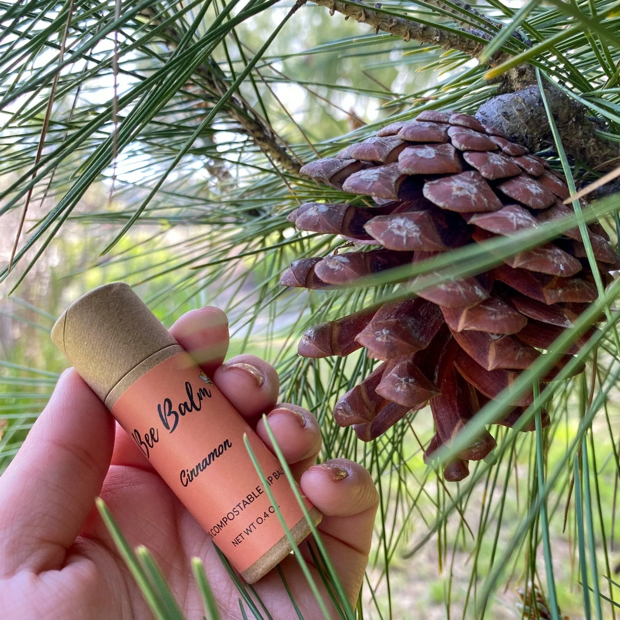 Bee Balm Cinnamon Lip Balm