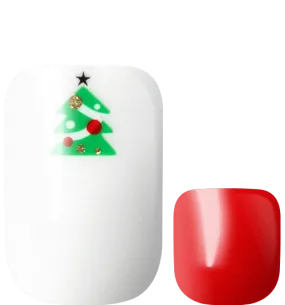 Christmas Glam (Transparent Pedicure)
